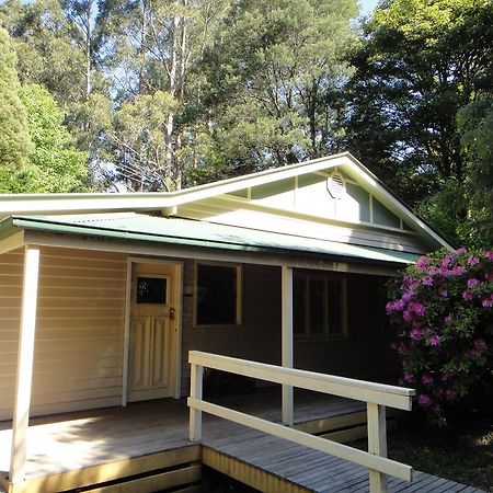 Credo Cottages Olinda Extérieur photo